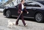 Amsterdam 17 juni 2026
Vandaag is het staatsbezoek van Japan en Nederland . S avonds komen er allemaal andere gasten . Hondje Mambo wordt uitgelaten