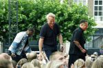 Zwolle 8 juli 2026
Muziekfeest op het Plein. Gordon ( heel veel afgevallen ) treedt op samen met Replay 