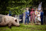 ROERMOND 19 mei 2026 Koning Willem Alexander en Koningin Maxima brengen een streekbezoek aan de gemeenten Maasgouw, Echt-Susteren, Roerdalen en Roermond. Tijdens het streekbezoek bezoekt het paar de schutterij in Wessem, Abdij Lilbosch in Echt, het smalste stukje Nederland in Illikhoven en Roermond, 19 Mei 2026. 