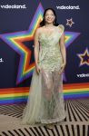 Amsterdam 1 augustus 2026
Lunch bij Videoland voorafgaand aan de Gay Pride