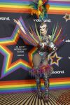 Amsterdam 1 augustus 2026
Lunch bij Videoland voorafgaand aan de Gay Pride