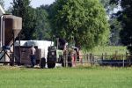 Flanssum 1 augustus 2026
De meilandjes hebben opnames op een boerderij voor een nieuwe serie op Videoland . Maxime Meiland Montana Meiland Erica Meiland en Martien Meiland werken op de boerderij .