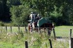 Flanssum 1 augustus 2026
De meilandjes hebben opnames op een boerderij voor een nieuwe serie op Videoland . Maxime Meiland Montana Meiland Erica Meiland en Martien Meiland werken op de boerderij .