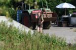 Flanssum 1 augustus 2026
De meilandjes hebben opnames op een boerderij voor een nieuwe serie op Videoland . Maxime Meiland Montana Meiland Erica Meiland en Martien Meiland werken op de boerderij .