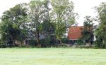 Flanssum 1 augustus 2026
De meilandjes hebben opnames op een boerderij voor een nieuwe serie op Videoland . Maxime Meiland Montana Meiland Erica Meiland en Martien Meiland werken op de boerderij .