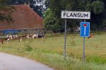 Flanssum 1 augustus 2026
De meilandjes hebben opnames op een boerderij voor een nieuwe serie op Videoland . Maxime Meiland Montana Meiland Erica Meiland en Martien Meiland werken op de boerderij .