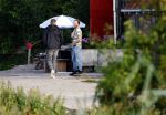 Flanssum 1 augustus 2026
De meilandjes hebben opnames op een boerderij voor een nieuwe serie op Videoland . Maxime Meiland Montana Meiland Erica Meiland en Martien Meiland werken op de boerderij .