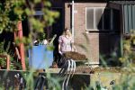 Flanssum 1 augustus 2026
De meilandjes hebben opnames op een boerderij voor een nieuwe serie op Videoland . Maxime Meiland Montana Meiland Erica Meiland en Martien Meiland werken op de boerderij .