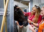 Aken 11 augustus 2026
Prinses Amalia op bezoek bij het wereldkampioenschap Paarden in Aken . 
