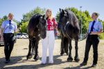 Aken 11 augustus 2026
Prinses Amalia op bezoek bij het wereldkampioenschap Paarden in Aken . 