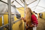 Aken 11 augustus 2026
Prinses Amalia op bezoek bij het wereldkampioenschap Paarden in Aken . 