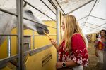 Aken 11 augustus 2026
Prinses Amalia op bezoek bij het wereldkampioenschap Paarden in Aken . 