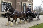 Barneveld 22 maart 2010
Presentatie de gelaarsde kat in kasteel Barneveld met Geert Hoes en Maud Mulder.
Peter Smulders bv