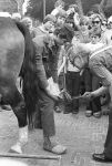 Dommelen, 13 Augustus 1977
Zomerfeesten in Dommelen t.g.v. opening Boerderij en De Watermolen
Foto Peter Smulders