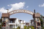 Bodrum Turkije 16 3n 17 april 2012
Muziekreis naar Bodrum met div artiesten waaronder Sieneke Marianne Weber Koos Alberts Gebroeders Ko Peter Beense Helemaal Hollands de piraten toppers Willem Barth Django Wagner Vinzzent Gino Graus Annie Schilder en Jan Keizer.
Peter Smulders bv