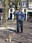 Amsterdam 2 april 2013
Hans v d Togt aan het wandelen met zijn hond en twee andere honden.
Peter Smulders bv