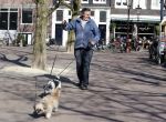 Amsterdam 2 april 2013
Hans v d Togt aan het wandelen met zijn hond en twee andere honden.
Peter Smulders bv