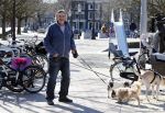 Amsterdam 2 april 2013
Hans v d Togt aan het wandelen met zijn hond en twee andere honden.
Peter Smulders bv