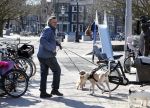 Amsterdam 2 april 2013
Hans v d Togt aan het wandelen met zijn hond en twee andere honden.
Peter Smulders bv