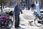 Amsterdam 2 april 2013
Hans v d Togt aan het wandelen met zijn hond en twee andere honden.
Peter Smulders bv
