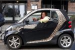 Amsterdam 29 maart 2013
Patty Brard in haar smart (Patmobile)
Peter Smulders bv