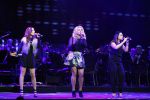 Hilversum 26 maart 2015
Gala stichting hulphond in studio 21.
O'G3NE