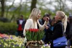 Lisse 9 april 2016
Doop van tulip Estavana Polman in de keukenhof. Estavana is de nieuwe vriendin van Rafael v d Vaart. Haar ouders zijn ook aanwezig. Annette de Vries interviewt haar