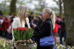 Lisse 9 april 2016
Doop van tulip Estavana Polman in de keukenhof. Estavana is de nieuwe vriendin van Rafael v d Vaart. Haar ouders zijn ook aanwezig. Annette de Vries interviewt haar
