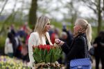 Lisse 9 april 2016
Doop van tulip Estavana Polman in de keukenhof. Estavana is de nieuwe vriendin van Rafael v d Vaart. Haar ouders zijn ook aanwezig. Annette de Vries interviewt haar