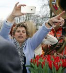 Lisse 9 april 2016
Doop van tulip Estavana Polman in de keukenhof. Estavana is de nieuwe vriendin van Rafael v d Vaart. Haar ouders zijn ook aanwezig.