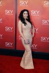 Amsterdam  3 april 2016
Premiere musical Sky in het Amsterdam theater.
Hind