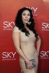 Amsterdam  3 april 2016
Premiere musical Sky in het Amsterdam theater.
Hind