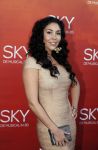 Amsterdam  3 april 2016
Premiere musical Sky in het Amsterdam theater.
Hind