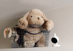 Hilversum 14 april 2016
Jaap Reesema en zijn zwangere vriendin Kim Kotter in de babykamer.