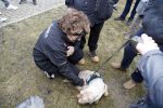 Biddinghuizen 5 maart 2017
De hollandse 100 op de ijsbaan in Biddinghuizen georganiseerd door Prins Bernhard.