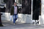 Amsterdam 1 april 2019
Hans v d Togt met zijn hondje op terras en aan het wandelen.