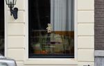 Amsterdam 13 april 2020
Huis Andre v Duin met een beertje voor het raam