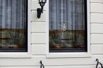 Amsterdam 14 april 2020
Andre v Duin gaat lekker vanaf zijn huis wandelen . Voor zijn raam staat een speelgoed beer voor de kinderen die de berenroute lopen . De beer was van zijn partner Martin