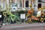 Amsterdam 13 april 2020
Fietsen vol met bloemen tegen over het rijksmuseum