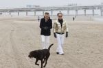 Scheveningen 20 maart 2020
Frank en Rogier met hun honden op het strand.