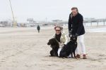 Scheveningen 20 maart 2020
Frank en Rogier met hun honden op het strand.