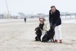 Scheveningen 20 maart 2020
Frank en Rogier met hun honden op het strand.