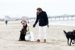 Scheveningen 20 maart 2020
Frank en Rogier met hun honden op het strand.