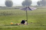 Nigtevecht 28 augustus 2019
Koe in de schaduw onder een paraplu