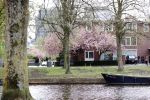 Amsterdam 13 april 2020
Huis van Nicolette v Dam en Bas Smit