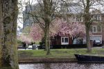 Amsterdam 13 april 2020
Huis van Nicolette v Dam en Bas Smit