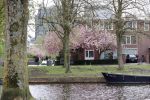 Amsterdam 13 april 2020
Huis van Nicolette v Dam en Bas Smit