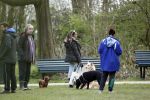 Amsterdam 1 april 2020
Priscilla Nasi ( dochter Patty Brard) heeft cupcakes gebakken voor de hondjes in het park.