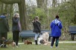 Amsterdam 1 april 2020
Priscilla Nasi ( dochter Patty Brard) heeft cupcakes gebakken voor de hondjes in het park.