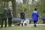 Amsterdam 1 april 2020
Priscilla Nasi ( dochter Patty Brard) heeft cupcakes gebakken voor de hondjes in het park.